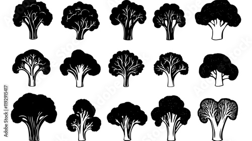 Collection of Broccoli digital art, Broccoli vector graphic, repetitive pattern