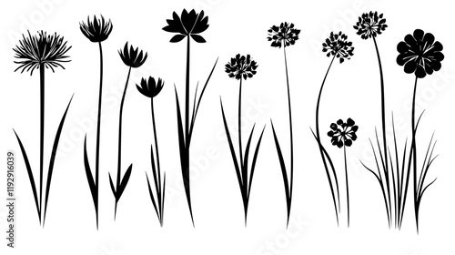 Collection of Chives vector icons, Chives vector art pattern