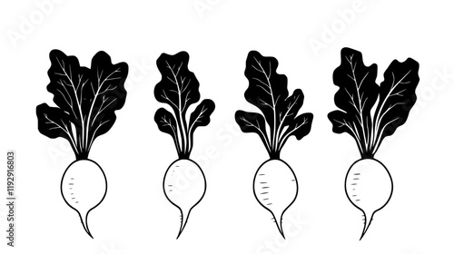 Collection of Daikon radish vector icons, Daikon radish vector art pattern