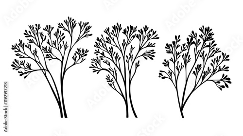 Collection of Fennel Fronds vector icons, Fennel Fronds vector art pattern