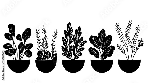 Collection of Garden Salad vector icons, Garden Salad vector art pattern