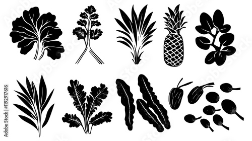 Collection of Galangal digital art, Galangal vector graphic, repetitive pattern