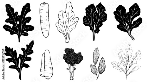 Collection of Horseradish vector icons, Horseradish vector art pattern