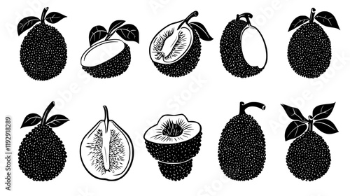 Collection of Jackfruit icons, Jackfruit illustration art, seamless pattern