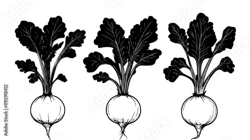 Collection of Kohlrabi icons, Kohlrabi illustration art, seamless pattern