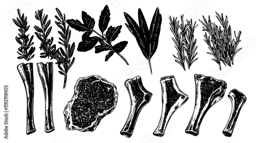 Collection of Lamb Rack with Herb Crust icons, Lamb Rack with Herb Crust illustration art, seamless pattern
