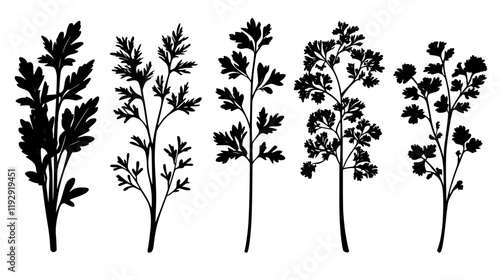 Collection of Parsley digital art, Parsley vector graphic, repetitive pattern