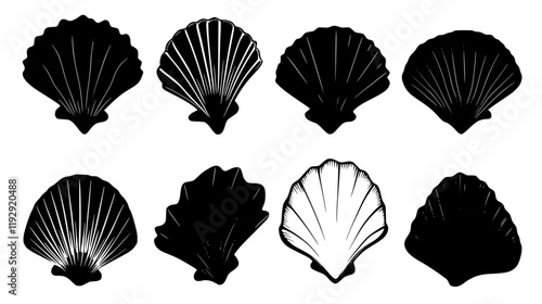 Collection of Scallops digital art, Scallops vector graphic, repetitive pattern