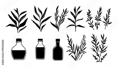 Collection of Tarragon vinegar vector icons, Tarragon vinegar vector art pattern