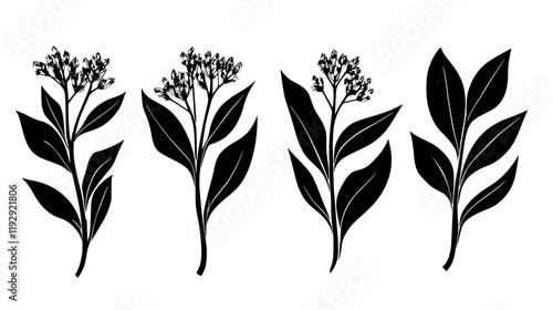 Collection of Wild Garlic vector icons, Wild Garlic vector art pattern