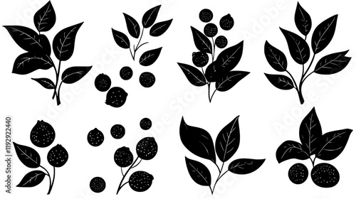 Collection of Allspice digital art, Allspice vector graphic, repetitive pattern
