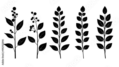 Collection of Black pepper vector icons, Black pepper vector art pattern