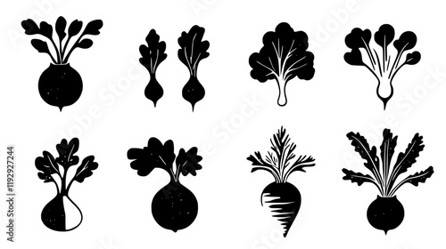 Collection of Rutabaga vector icons, Rutabaga vector art pattern