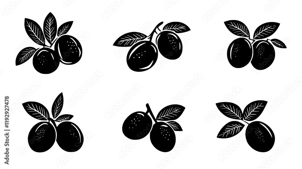 Collection of Sapodilla vector icons, Sapodilla vector art pattern Collection of Sapodilla vector icons, Sapodilla vector art pattern