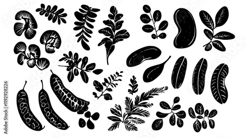 Collection of Tamarind digital art, Tamarind vector graphic, repetitive pattern