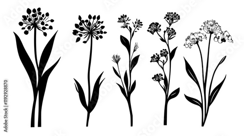 Collection of Wild Garlic digital art, Wild Garlic vector graphic, repetitive pattern