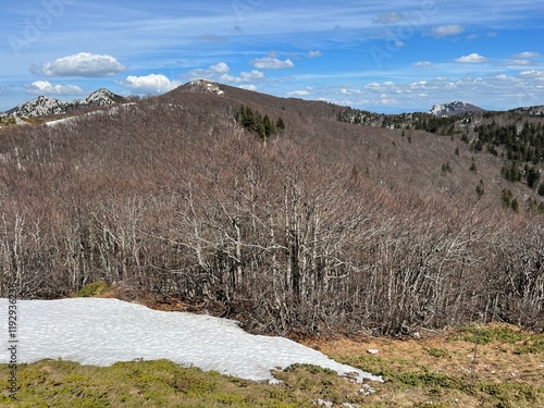 The last remnants of spring snow after a long and harsh mountain winter - Northern Velebit National Park, Croatia (Posljednji proljetni ostaci snijega nakon duge i oštre zime - NP Sjeverni Velebit) photo