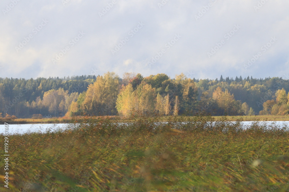 Fototapeta premium Vuoksa river on a sunny autumn day