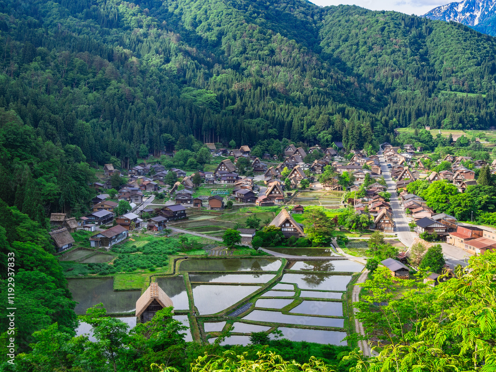 日本の原風景 春の白川郷