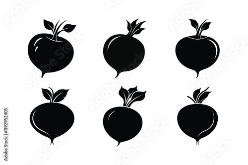 Radish (Raphanus sativus) design, labeled silhouette vector illustration