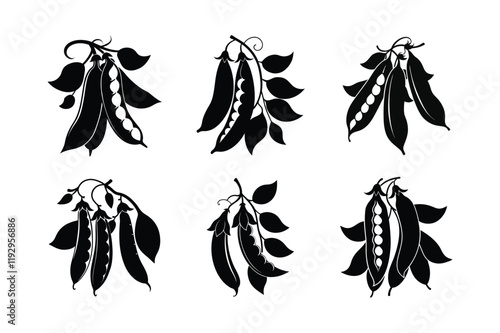 Snow Peas (Pisum sativum var. macrocarpon) design, labeled silhouette vector illustration