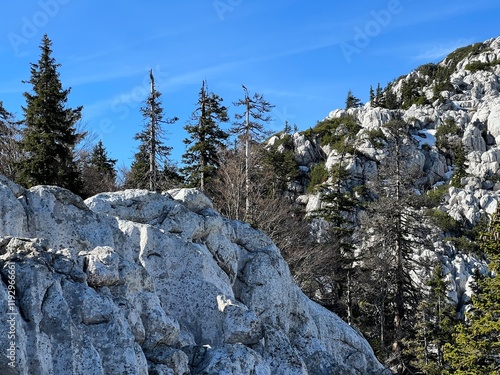 Limestone rocks and karst mountain landscape - Northern Velebit National Park, Croatia (Vapnenačke stijene i krški planinski krajolik - Nacionalni park Sjeverni Velebit, Hrvatska) photo