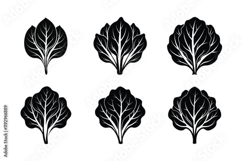 Spinach (Spinacia oleracea) design, labeled silhouette vector 