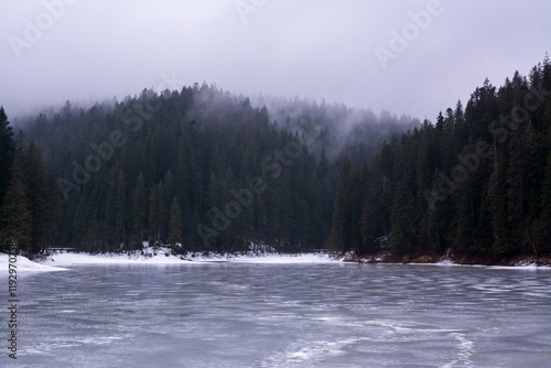 Lake Synevyr in Ukraine in winter photo