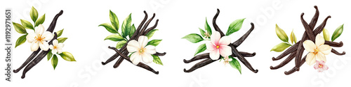 Watercolor  of Vanilla Pods and Flowers