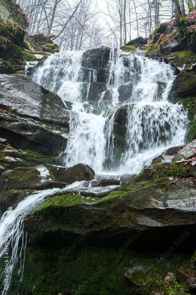 Obraz premium waterfall in the forest