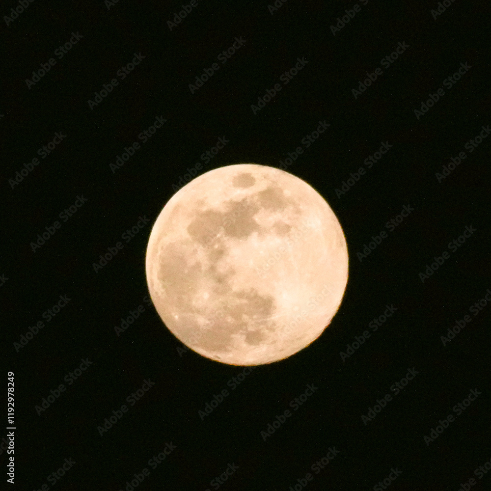 Obraz premium 夜空に浮かぶお月様