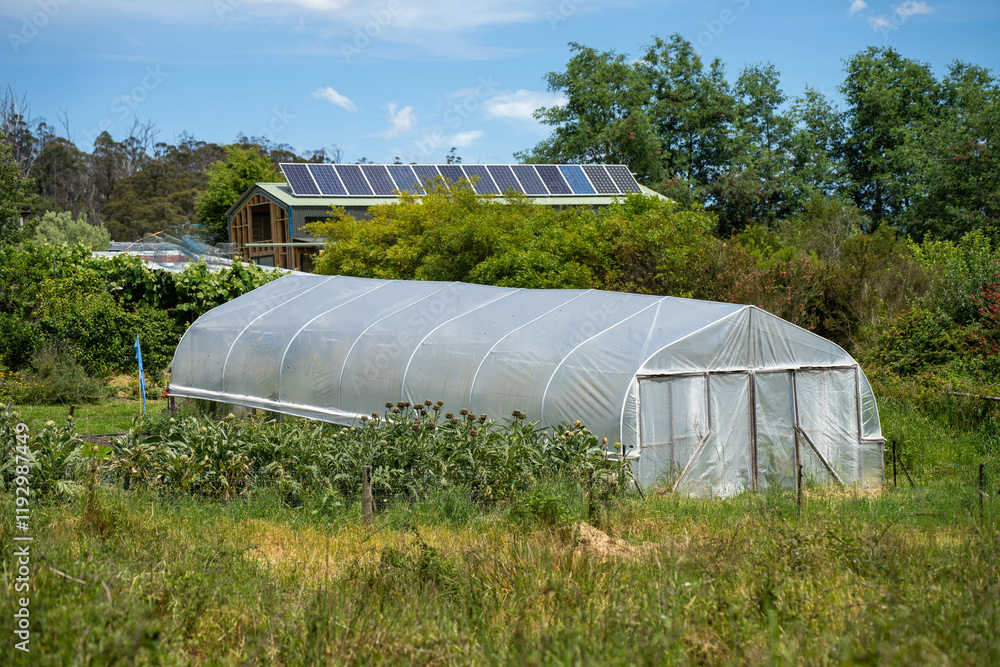 poly tunnel on farm in a kitchen garden poly tunnel on farm in a kitchen garden