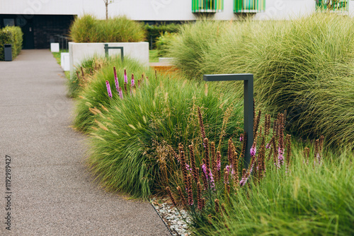 Modern residential buildings in the public green area. Landscaping, beautiful flowerbeds in an urban environment. High quality photo. New urban housing