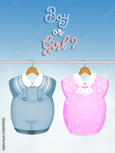 Boy or girl, gender party invitation illustration