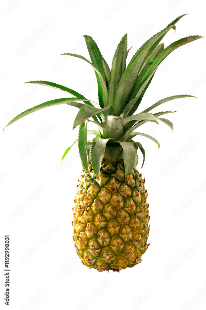 pineapple fruit isolated on white, transparent background. png file pineapple fruit isolated on white, transparent background. png file