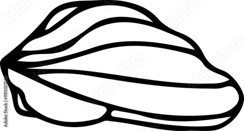 The seashell icon. Vector icon of seashells. Black linear seashell icons