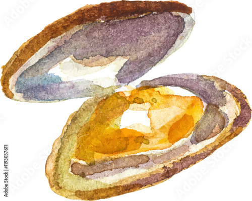 Watercolor painted clam. Hand drawn fresh seafood design element isolated on white background.