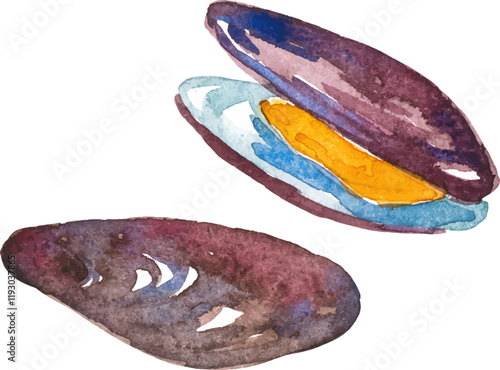 Watercolor painted mussels. Hand drawn fresh seafood design element isolated on white background.