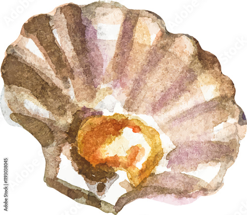 Watercolor painted scallop. Hand drawn fresh seafood design element isolated on white background.