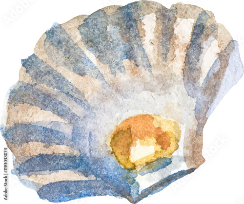 Watercolor painted scallop. Hand drawn fresh seafood design element isolated on white background.