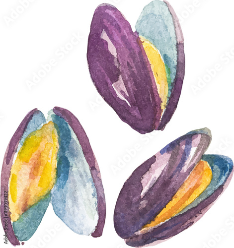 Watercolor painted mussels. Hand drawn fresh seafood design element isolated on white background.