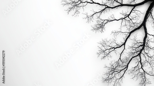 Wallpaper Mural Black and White Silhouette of a Tree Branch Against a Minimalist Background with Soft Borders Torontodigital.ca
