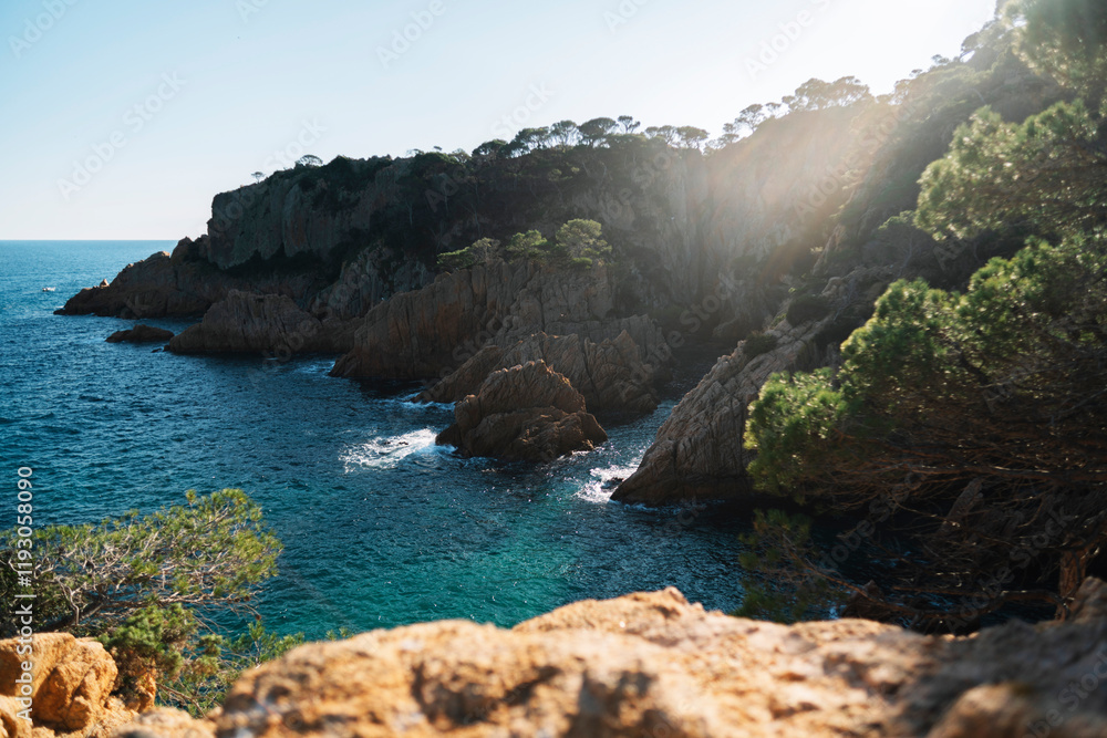 Fototapeta premium the coast of island