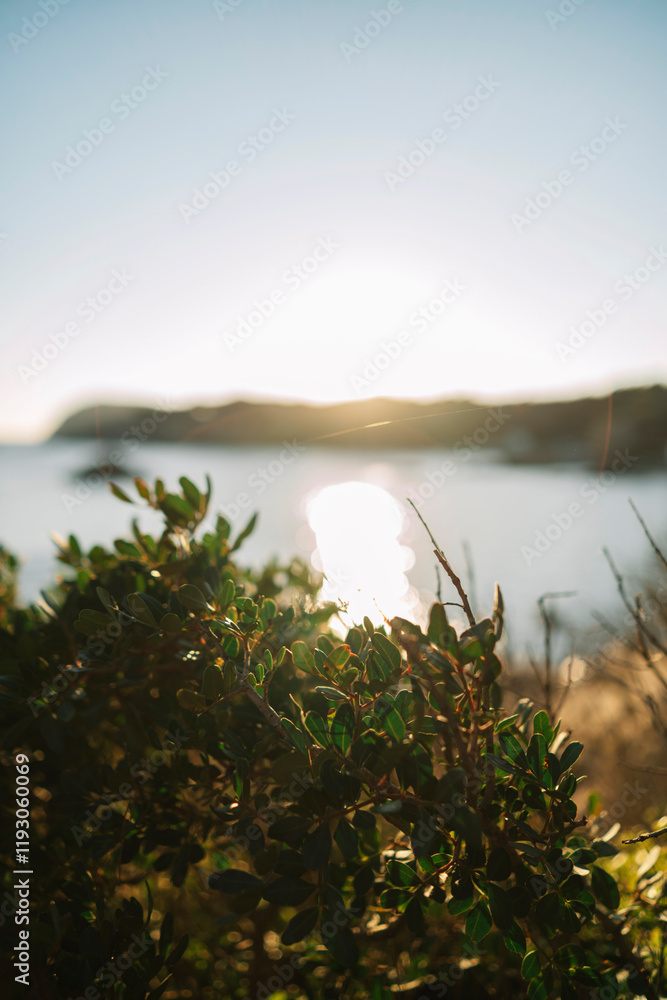 Fototapeta premium sunrise over the lake