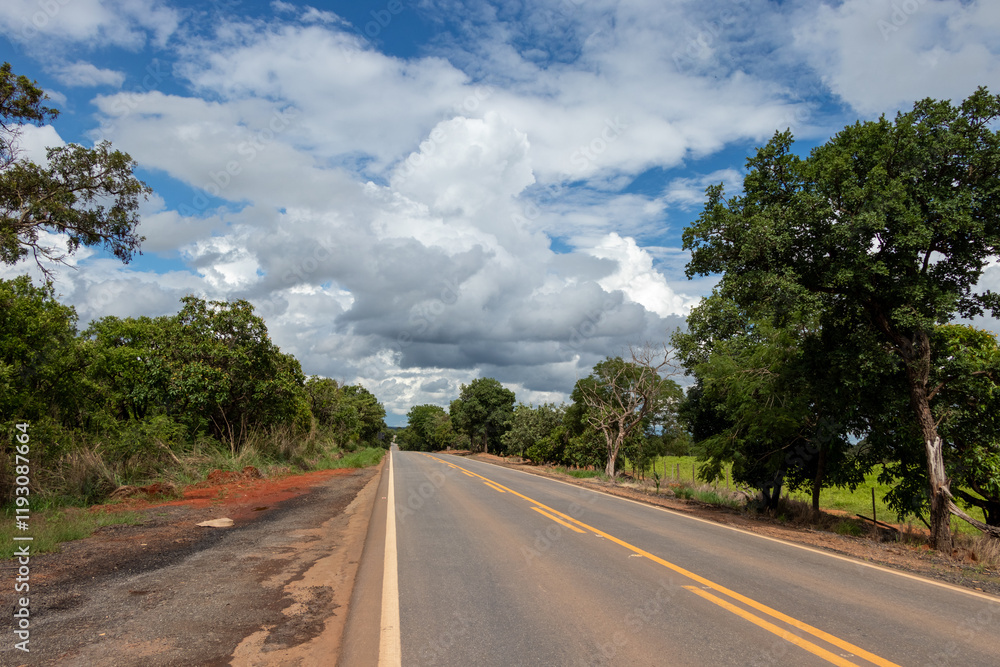 Fototapeta premium road in the countryside