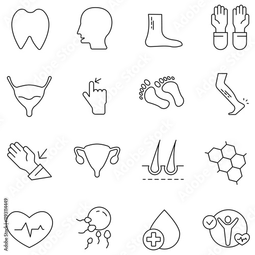 Anatomy icons set. Set of editable stroke icons.Set of Anatomy