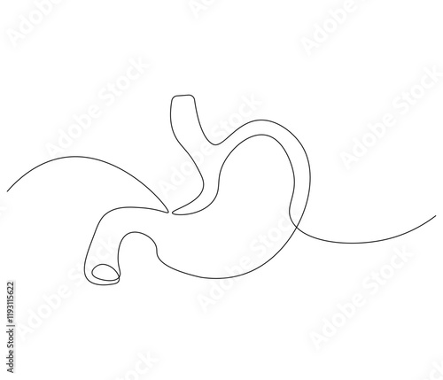 Simple continuous one line drawing of stomach . Single line drawing illustration of stomach. Anatomical concept vector art. Doodle line illustration.