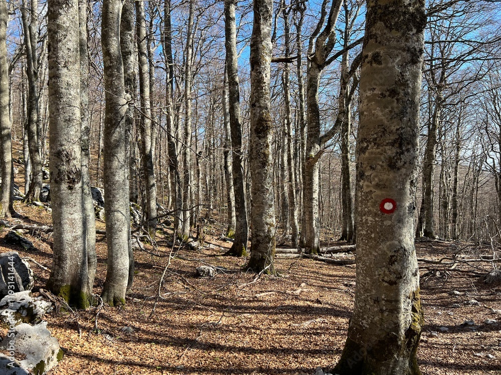 Φωτογραφία Mountaineering signs and climbing markings in the area of ​​the Northern Velebit