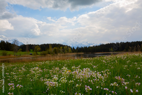 Rundtour zum Hegratsriedsee • Wanderung photo