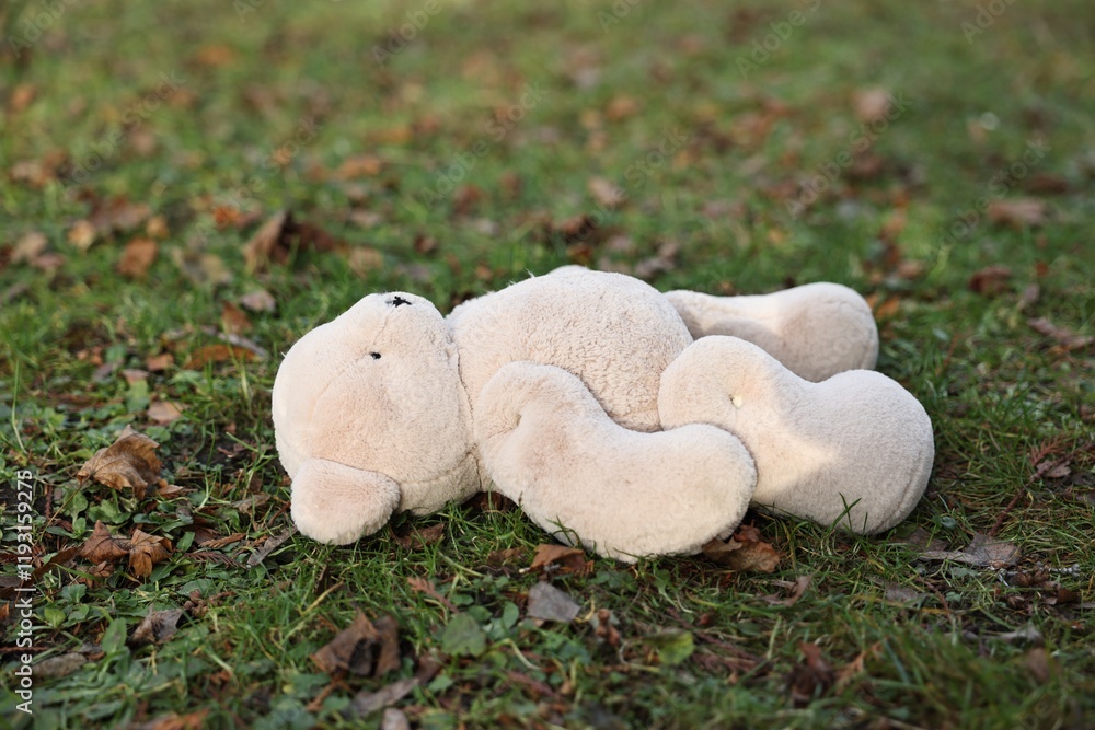 Fototapeta premium Lost white teddy bear on green grass, closeup